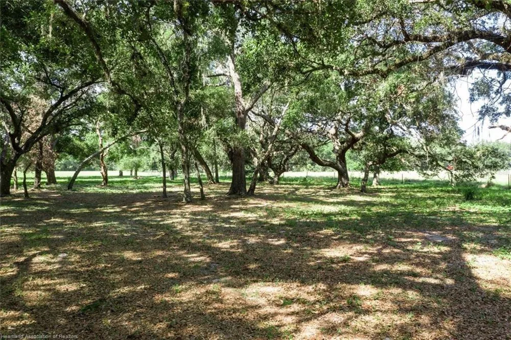 203 BOYER STREET Venus, FL 33960