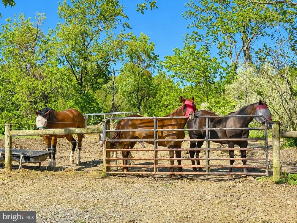 11698 CHANEY SPRING ROAD Huntingdon, PA 16652