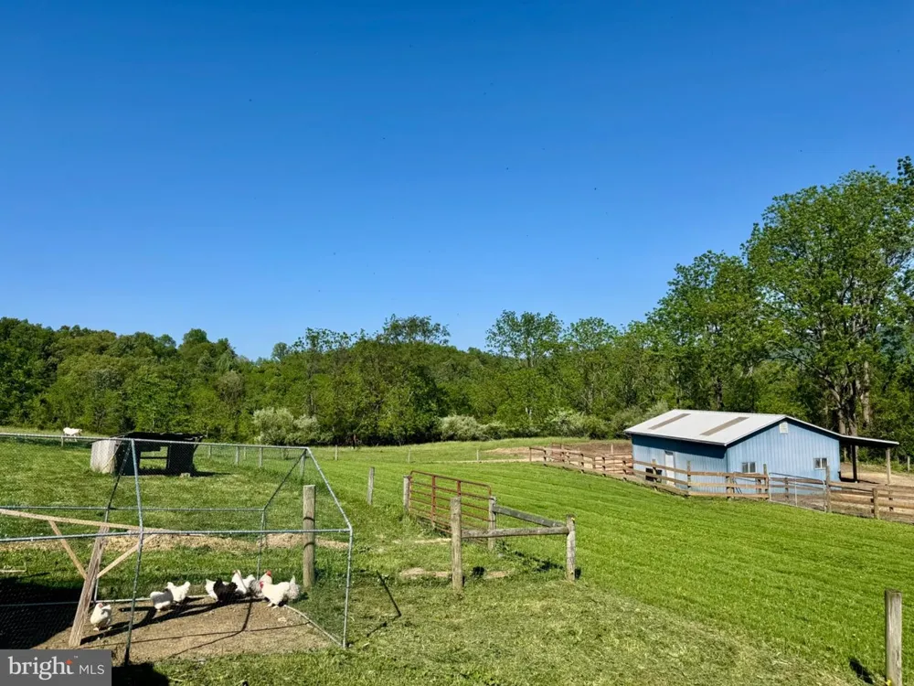 11698 CHANEY SPRING ROAD Huntingdon, PA 16652