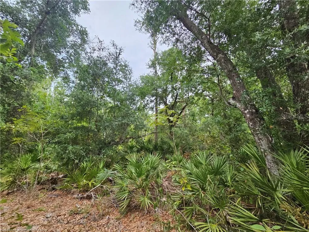 12000 US-98 Sebring, FL 33876
