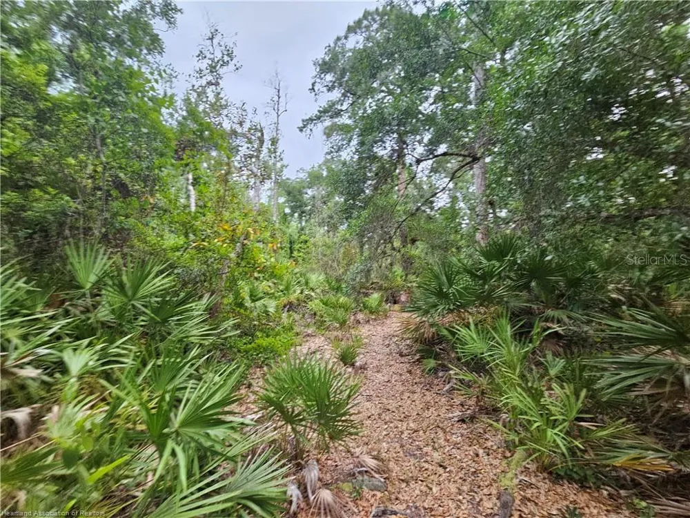 12000 US-98 Sebring, FL 33876