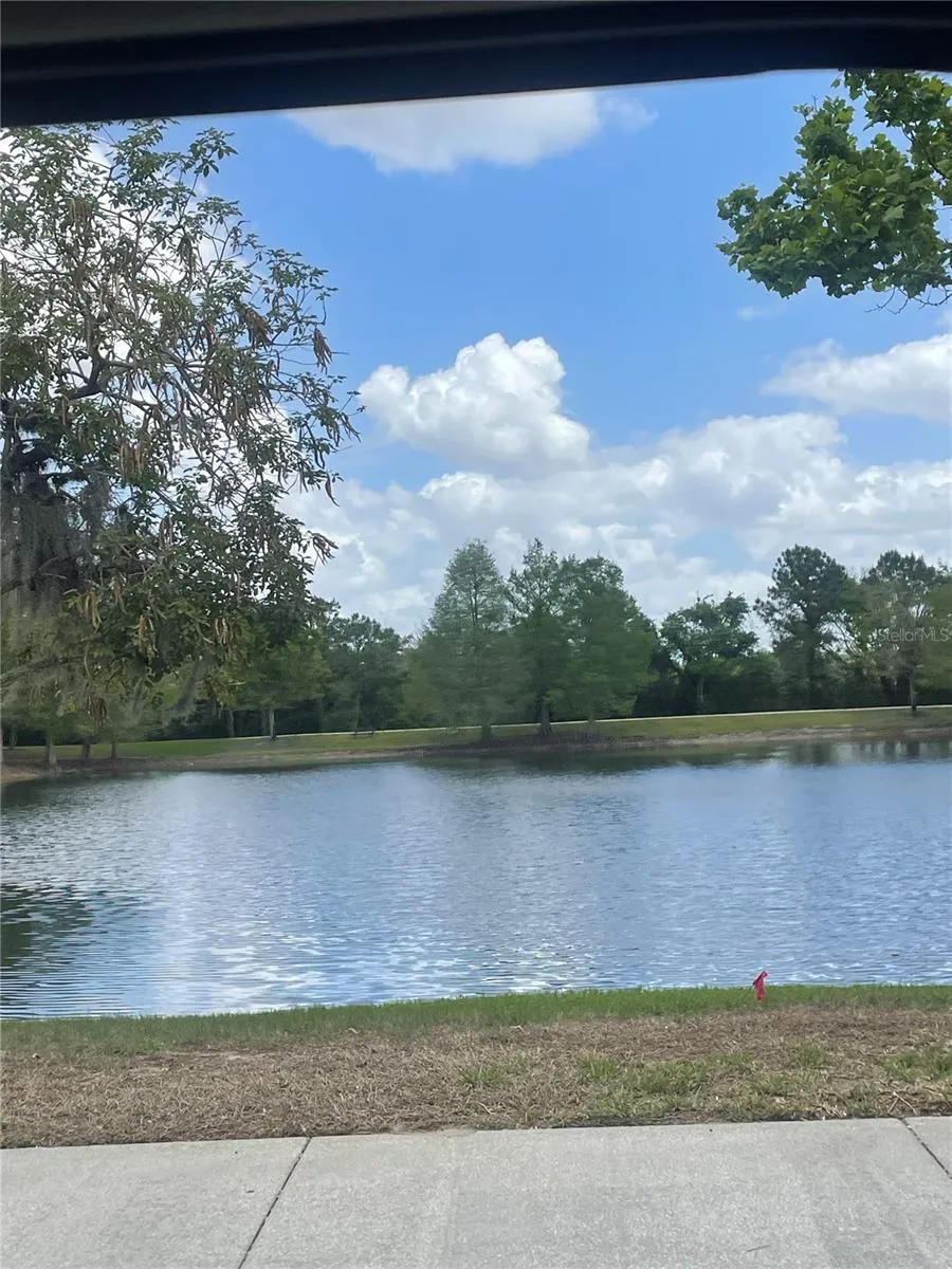 14392 BRIDGEWATER CROSSINGS BOULEVARD Windermere, FL 34786