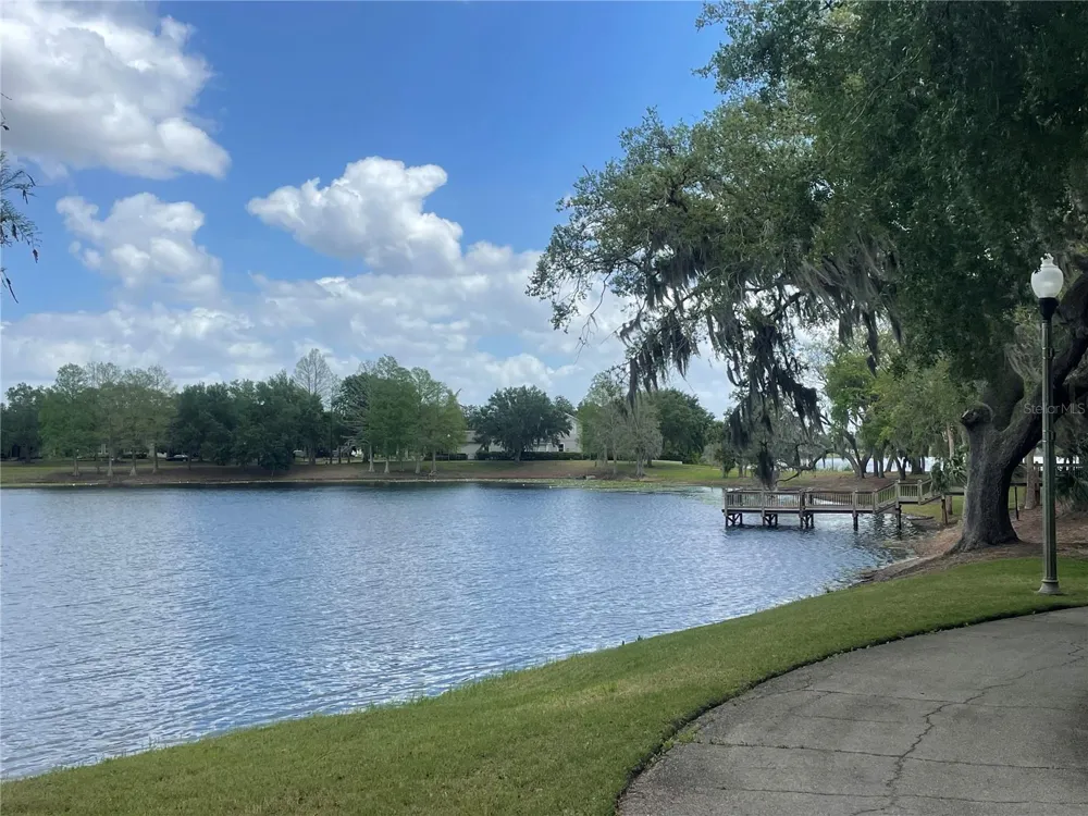 14392 BRIDGEWATER CROSSINGS BOULEVARD Windermere, FL 34786