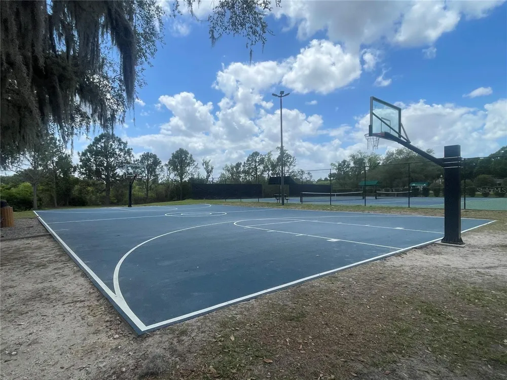 14392 BRIDGEWATER CROSSINGS BOULEVARD Windermere, FL 34786
