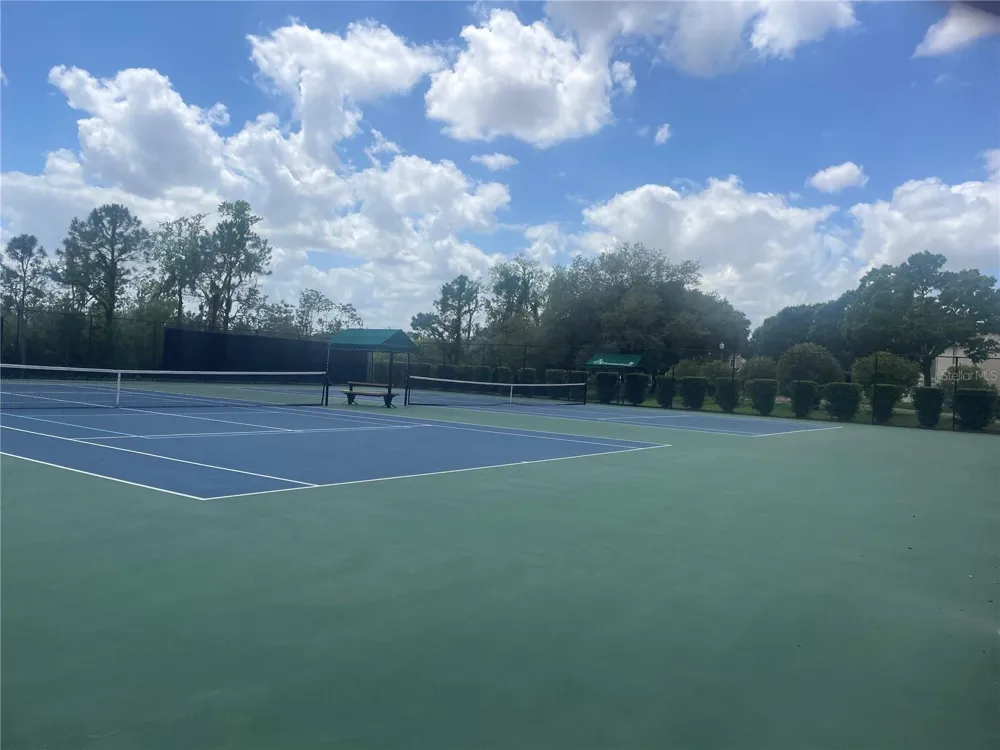 14392 BRIDGEWATER CROSSINGS BOULEVARD Windermere, FL 34786