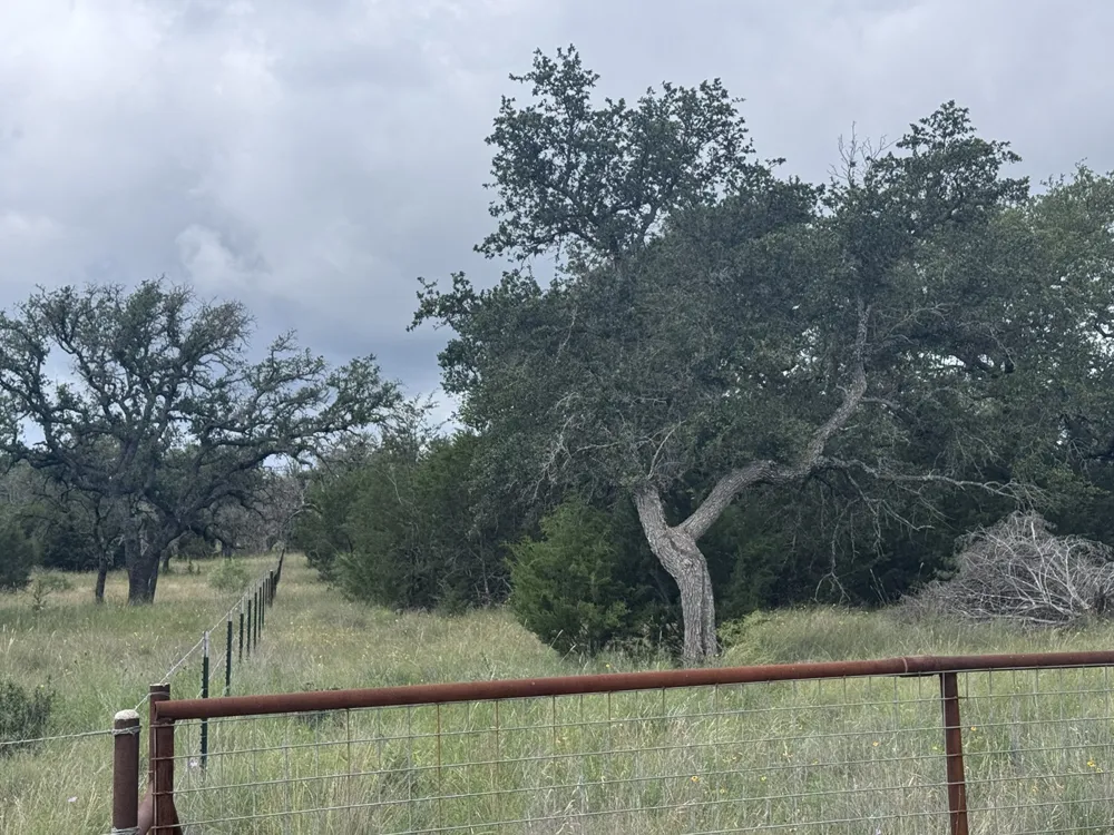 257 W Rolling Oaks Drive Goldthwaite, TX 78644
