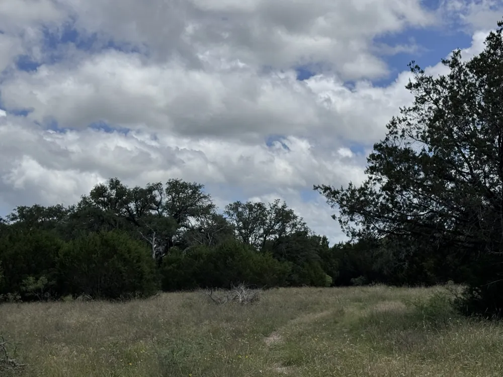 257 W Rolling Oaks Drive Goldthwaite, TX 78644
