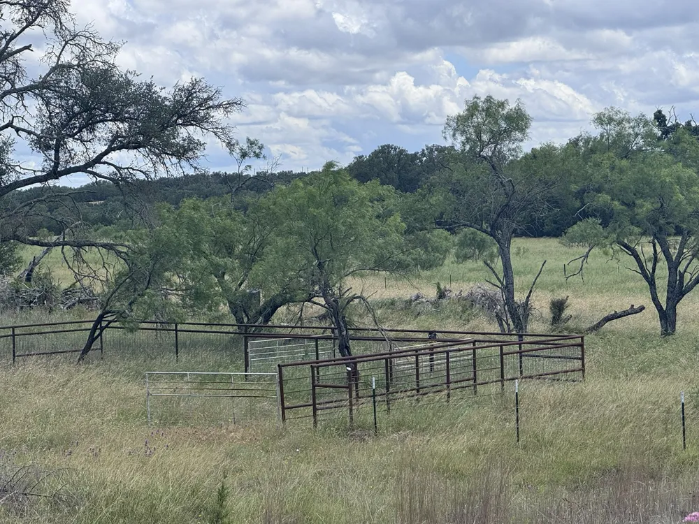 257 W Rolling Oaks Drive Goldthwaite, TX 78644