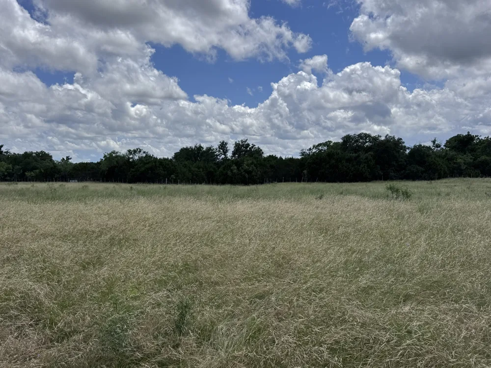 257 W Rolling Oaks Drive Goldthwaite, TX 78644