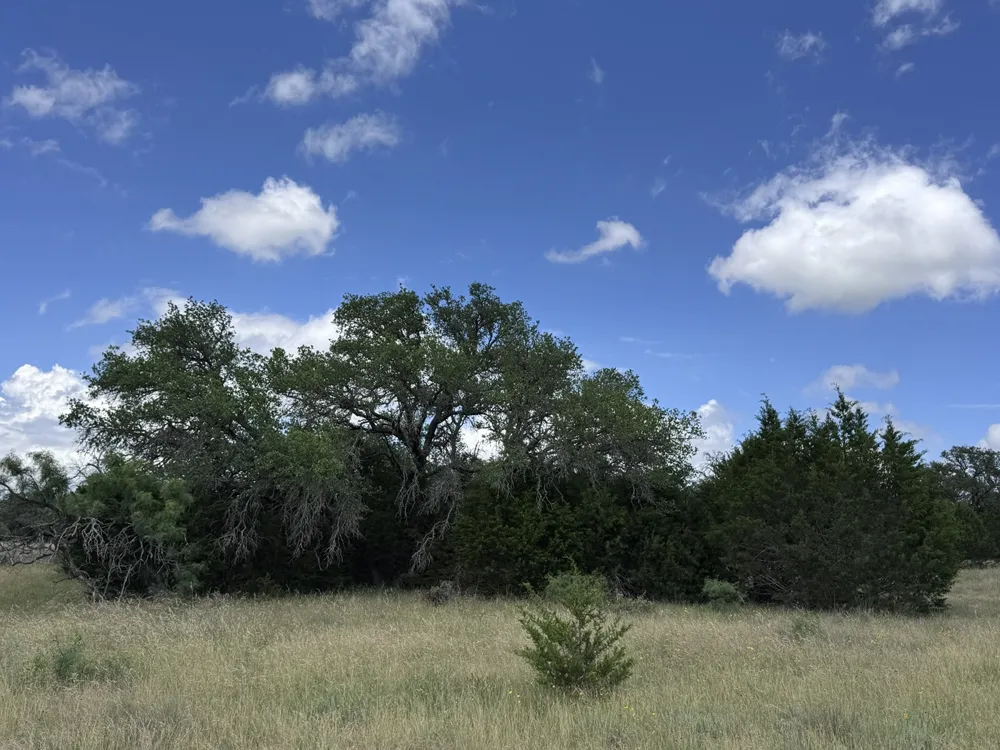 257 W Rolling Oaks Drive Goldthwaite, TX 78644