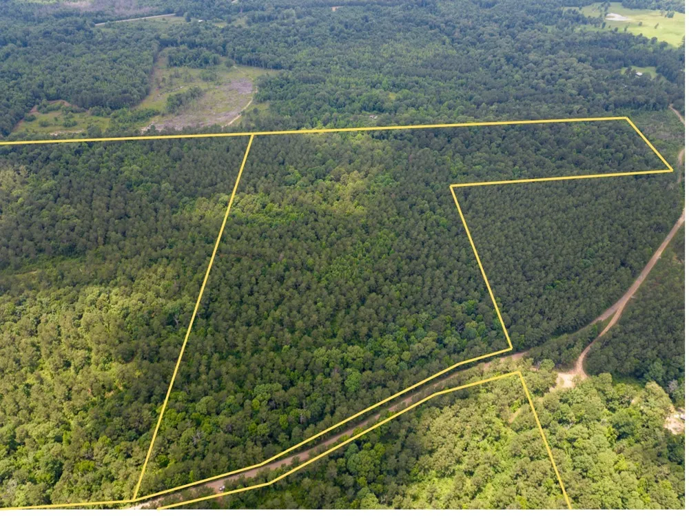 1 Posey Webb Camp Road Sicily Island, LA 71343
