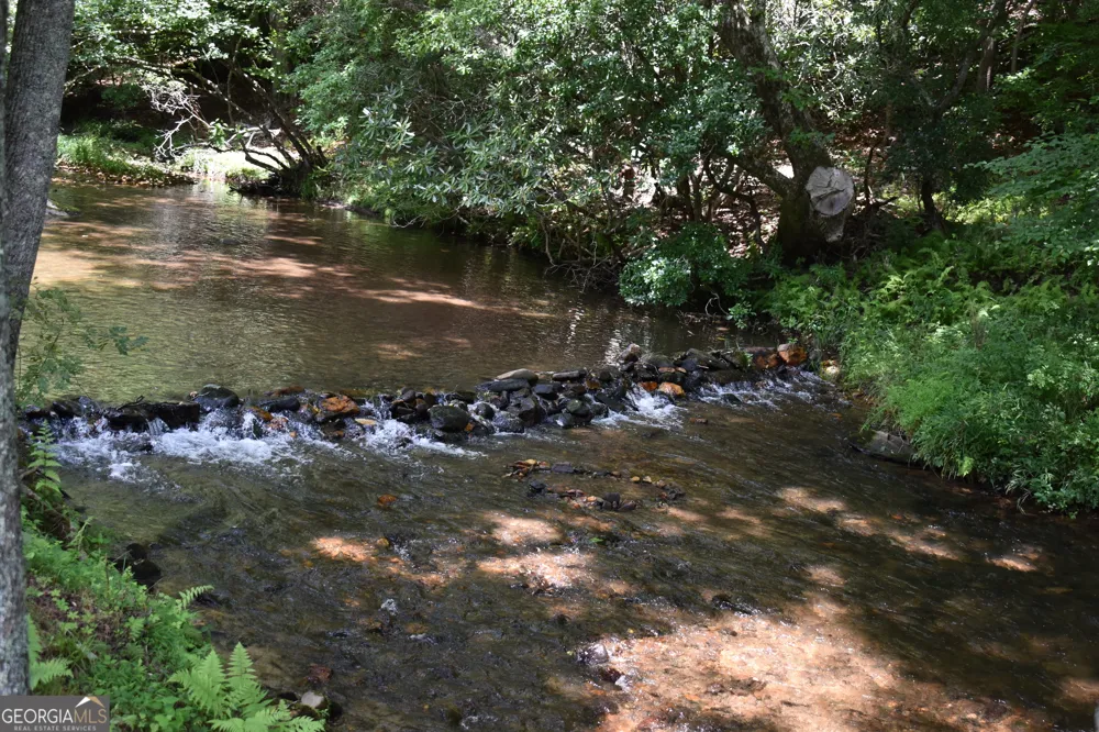 2632 Big Creek RD Cherry Log, GA 30522