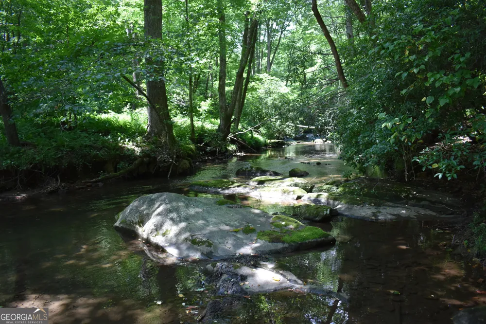 2632 Big Creek RD Cherry Log, GA 30522