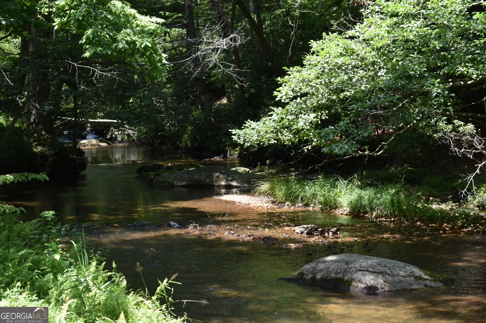 2632 Big Creek RD Cherry Log, GA 30522
