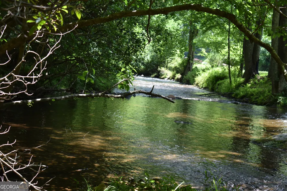 2632 Big Creek RD Cherry Log, GA 30522