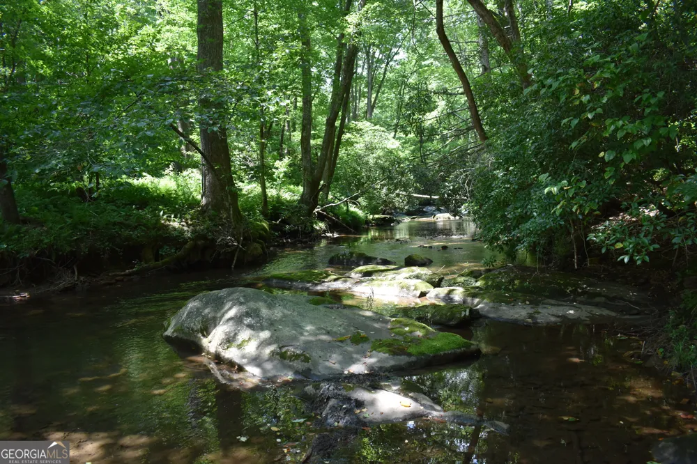 2632 Big Creek RD Cherry Log, GA 30522