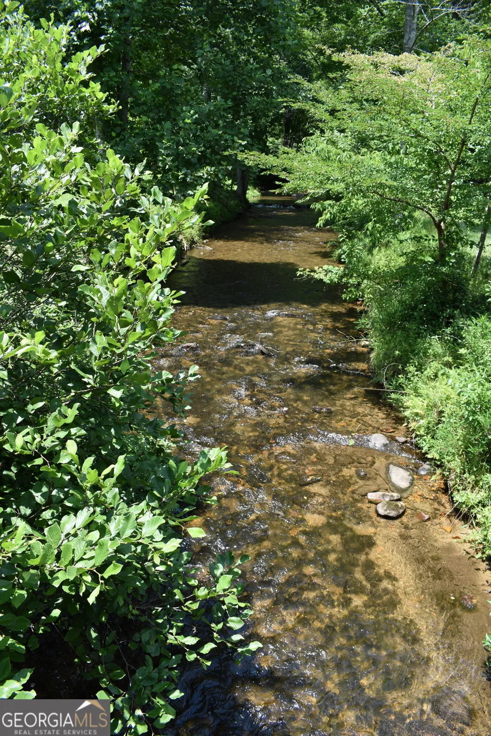 2632 Big Creek RD Cherry Log, GA 30522