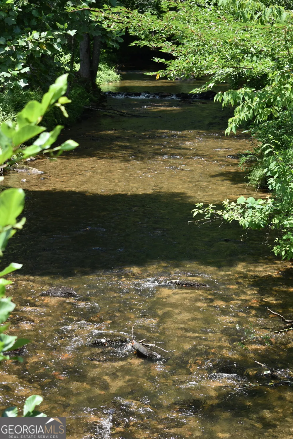 2632 Big Creek RD Cherry Log, GA 30522
