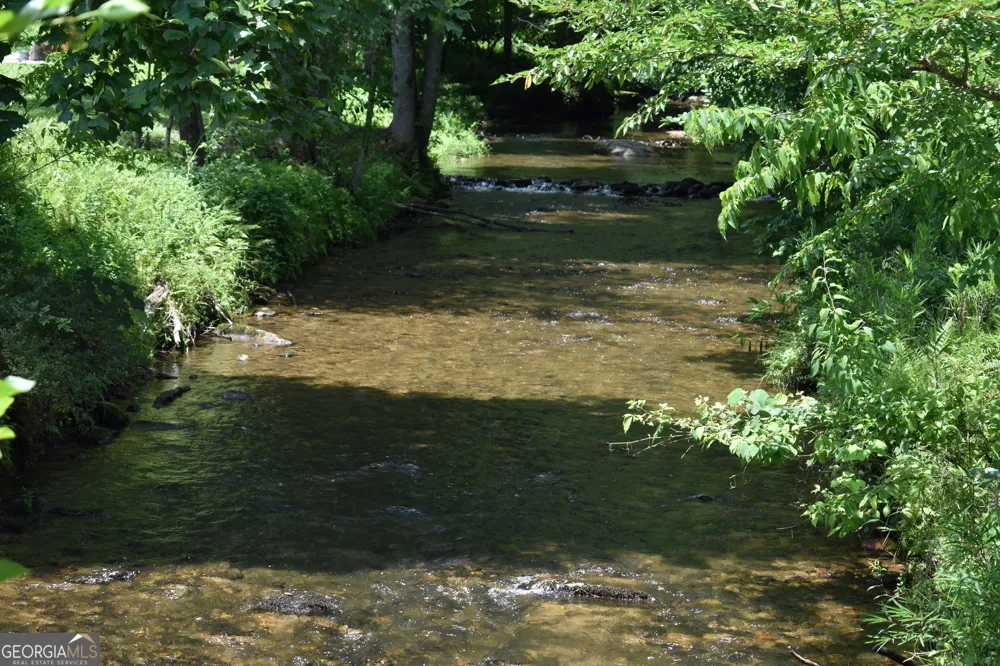 2632 Big Creek RD Cherry Log, GA 30522