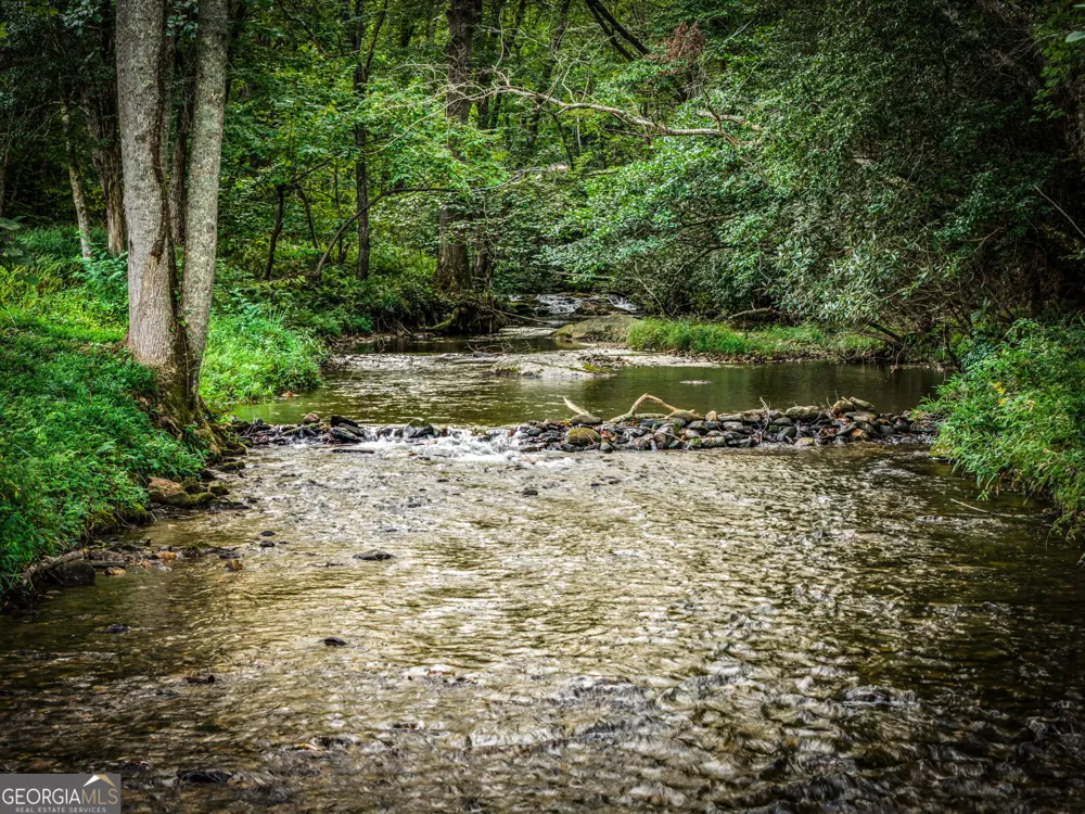 2632 Big Creek RD Cherry Log, GA 30522