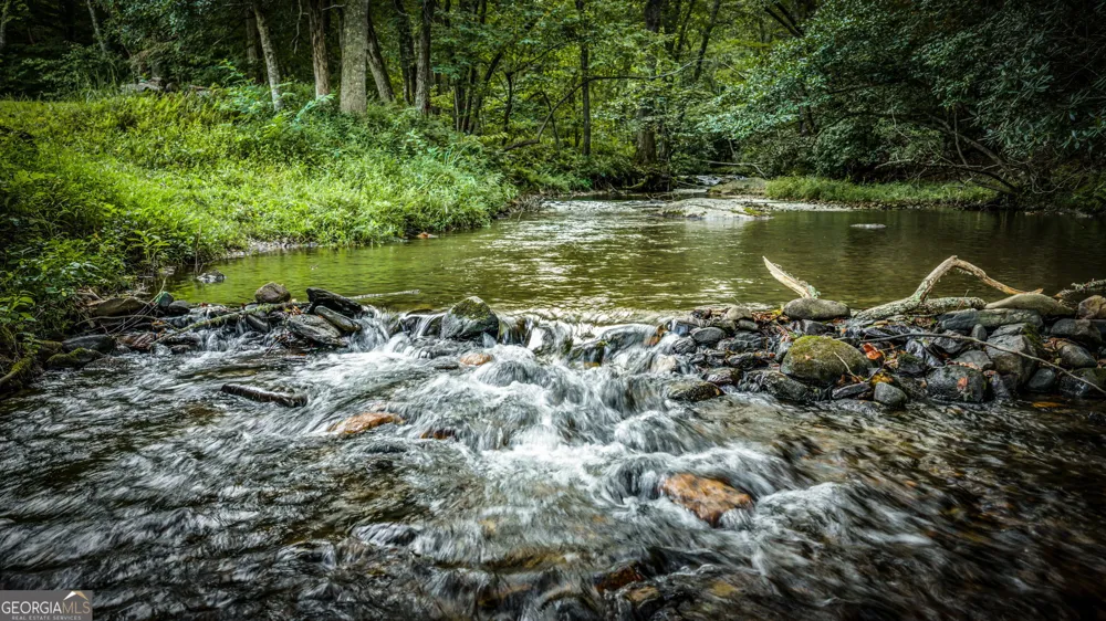 2632 Big Creek RD Cherry Log, GA 30522