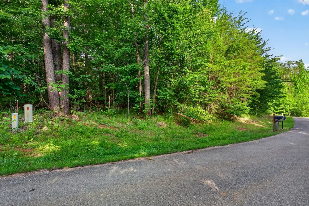 0 Simmons Cem Rd Quebeck, TN 38579
