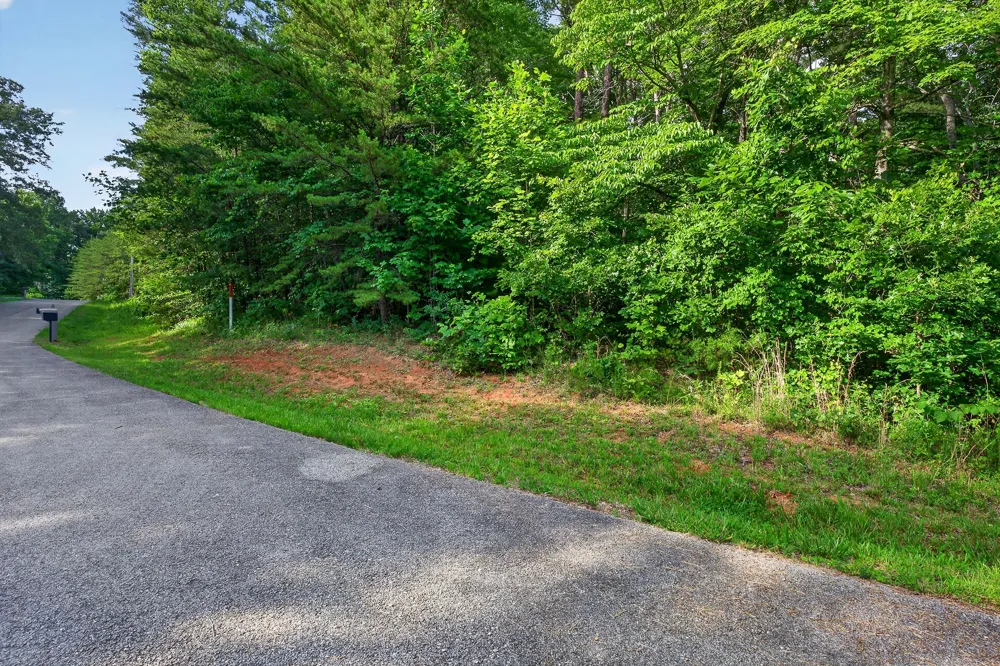 0 Simmons Cem Rd Quebeck, TN 38579
