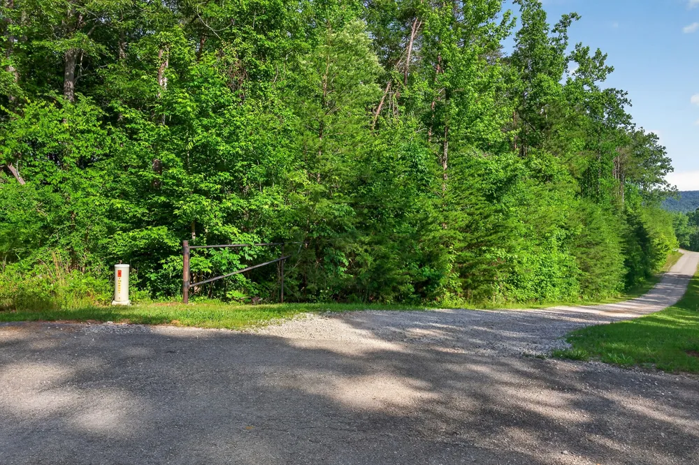 0 Simmons Cem Rd Quebeck, TN 38579
