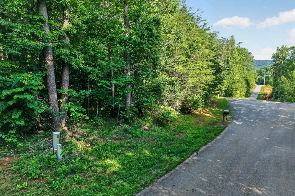 0 Simmons Cem Rd Quebeck, TN 38579