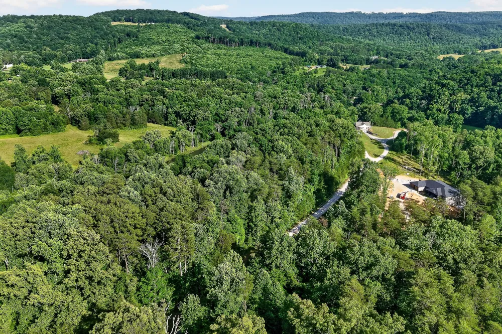 0 Simmons Cem Rd Quebeck, TN 38579
