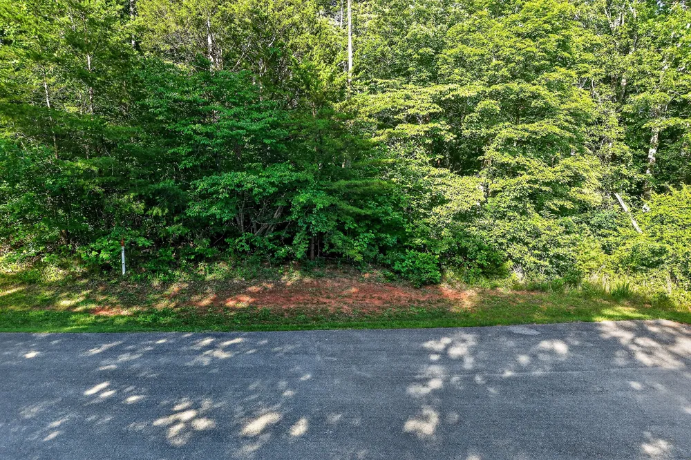 0 Simmons Cem Rd Quebeck, TN 38579