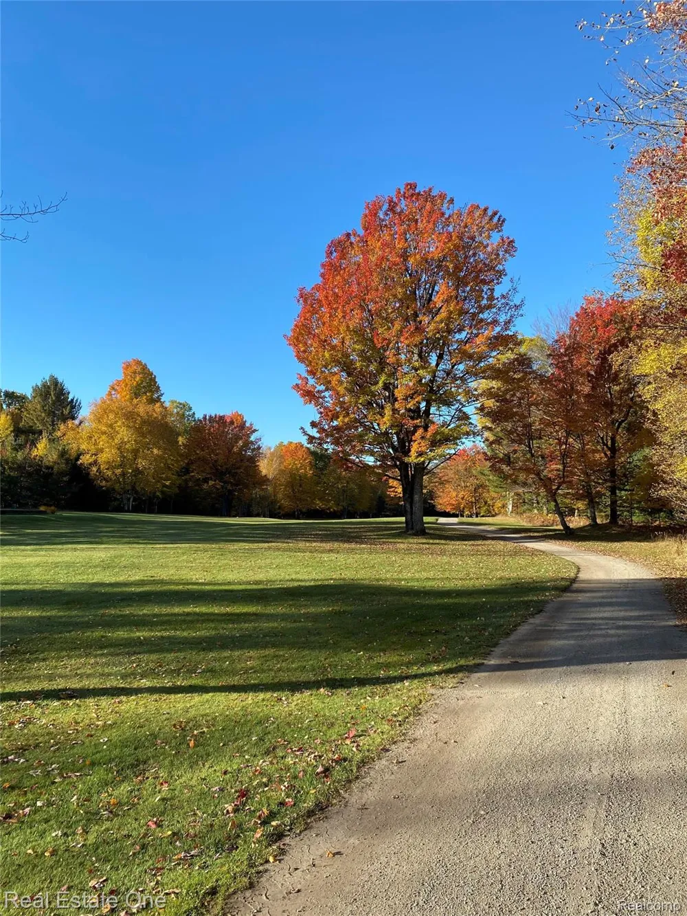 2596 E Fox Road Alcona Township, MI 48742