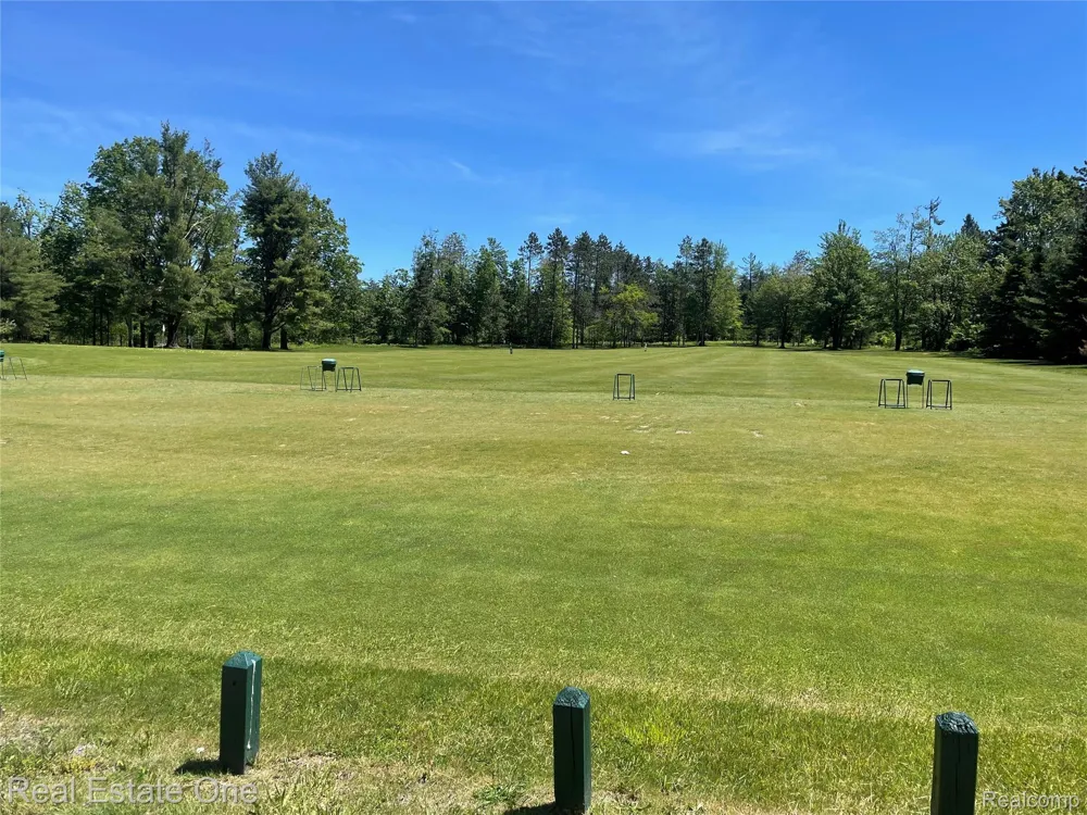 2596 E Fox Road Alcona Township, MI 48742