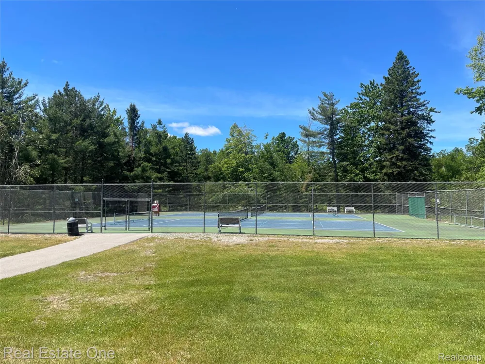 2596 E Fox Road Alcona Township, MI 48742