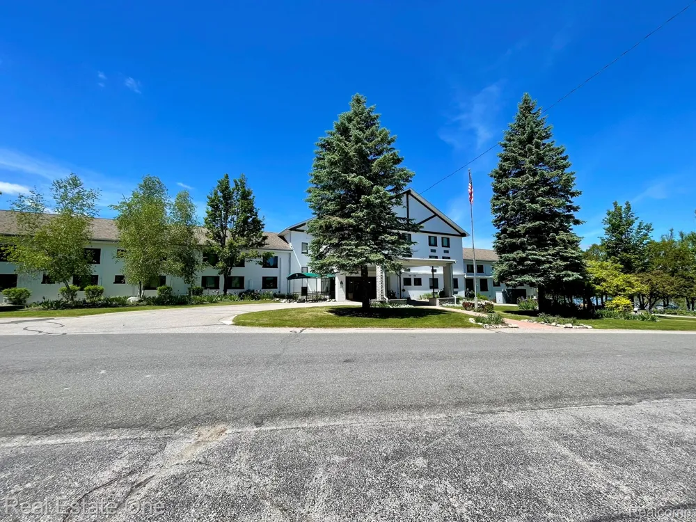 2596 E Fox Road Alcona Township, MI 48742