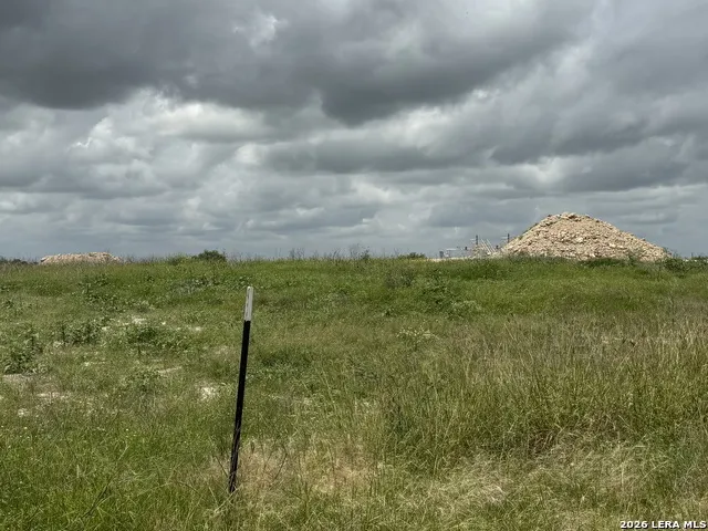 TBD FM 2102 Kenedy, TX 78119