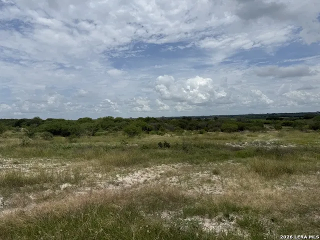 TBD FM 2102 Kenedy, TX 78119