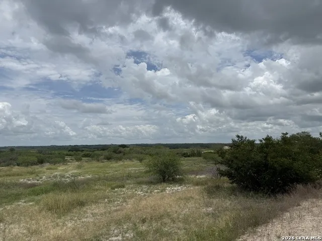TBD FM 2102 Kenedy, TX 78119