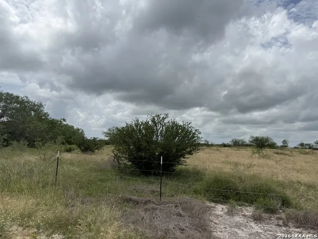 TBD FM 2102 Kenedy, TX 78119
