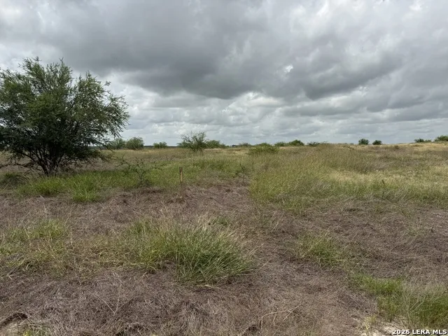 TBD FM 2102 Kenedy, TX 78119