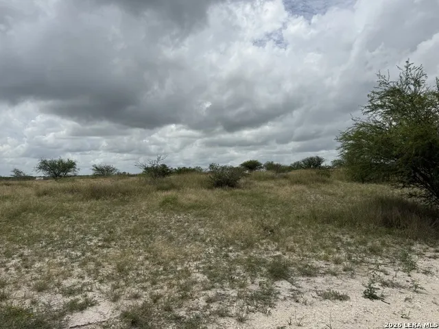 TBD FM 2102 Kenedy, TX 78119