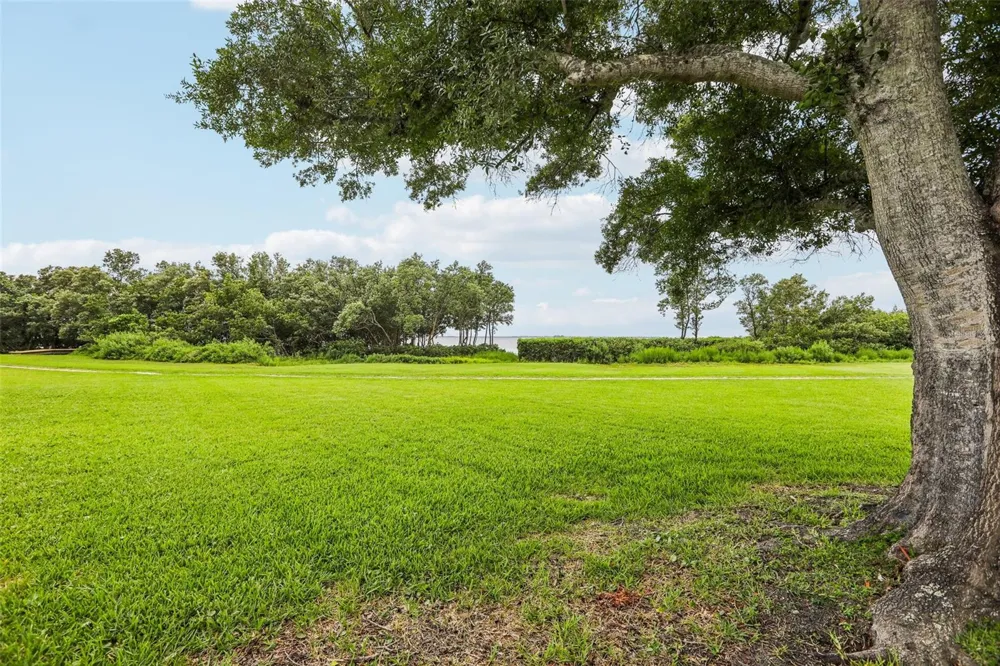 610 INDIANA AVENUE Crystal Beach, FL 34681