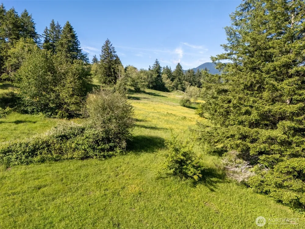 9999 Leland Valley Road Quilcene, WA 98376