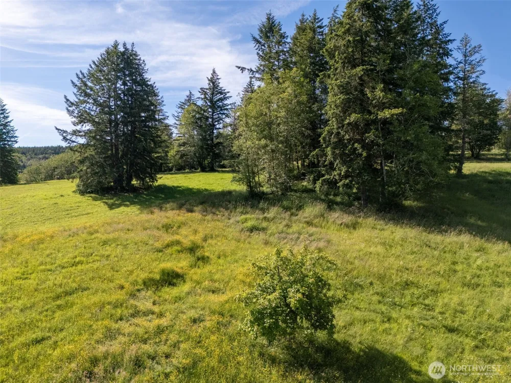 9999 Leland Valley Road Quilcene, WA 98376