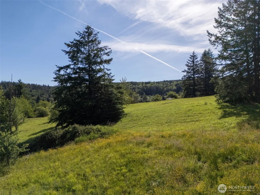 9999 Leland Valley Road Quilcene, WA 98376