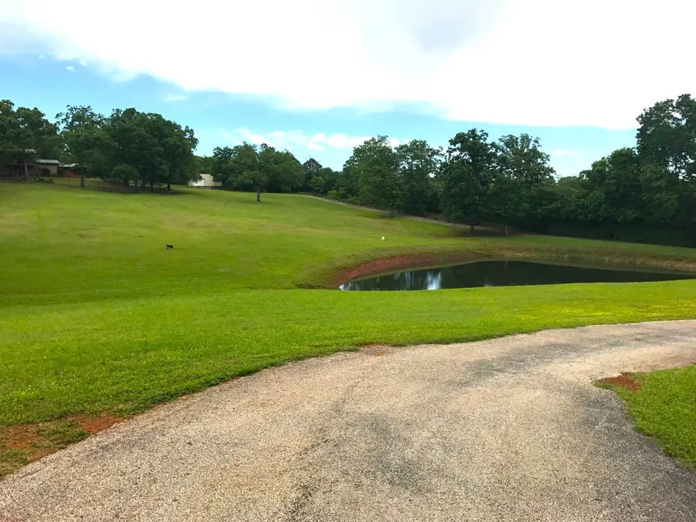 440 VZ County Road 4814 Ben Wheeler, TX 75754