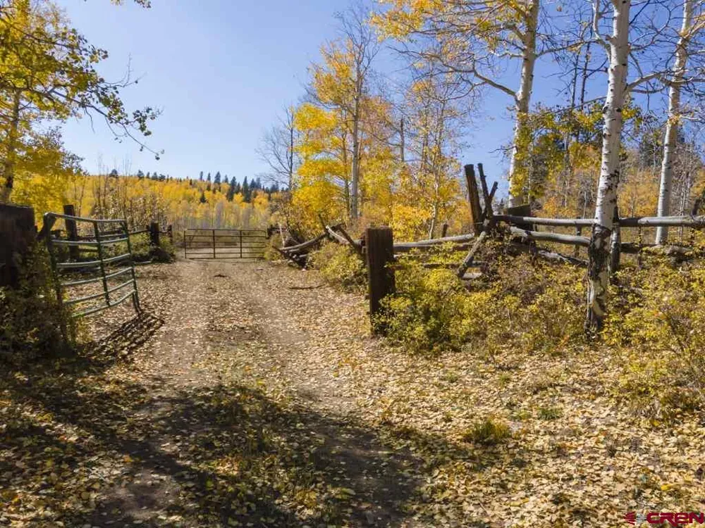 Transfer Road Montrose, CO 81403