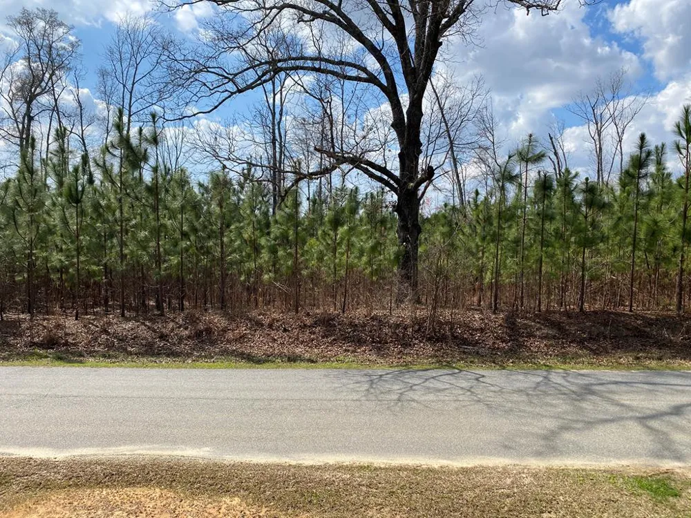 0 Baker Road Waverly Hall, GA 31831