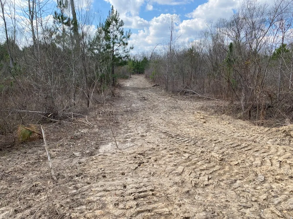 0 Baker Road Waverly Hall, GA 31831