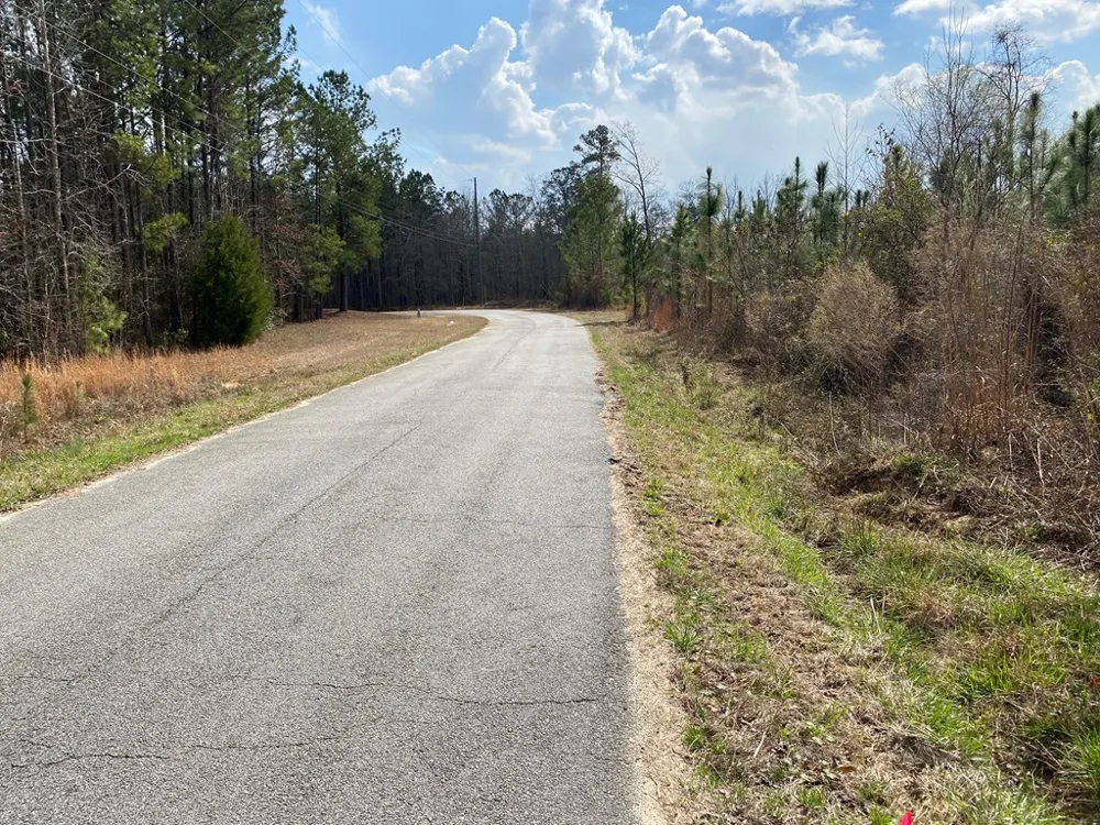 0 Baker Road Waverly Hall, GA 31831